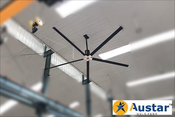 Austar Big Ceiling Fan